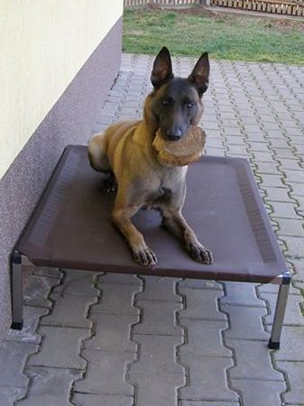 malina na xl orez
